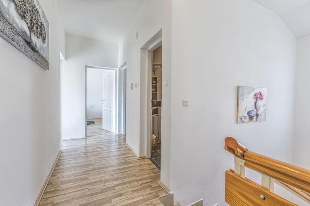 Luxury House Cesarica别墅 外观 照片